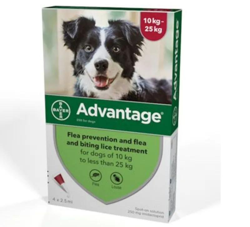 Elanco Advantage 250 Spot-On for Dogs - 10-25kg 4 Pipettes