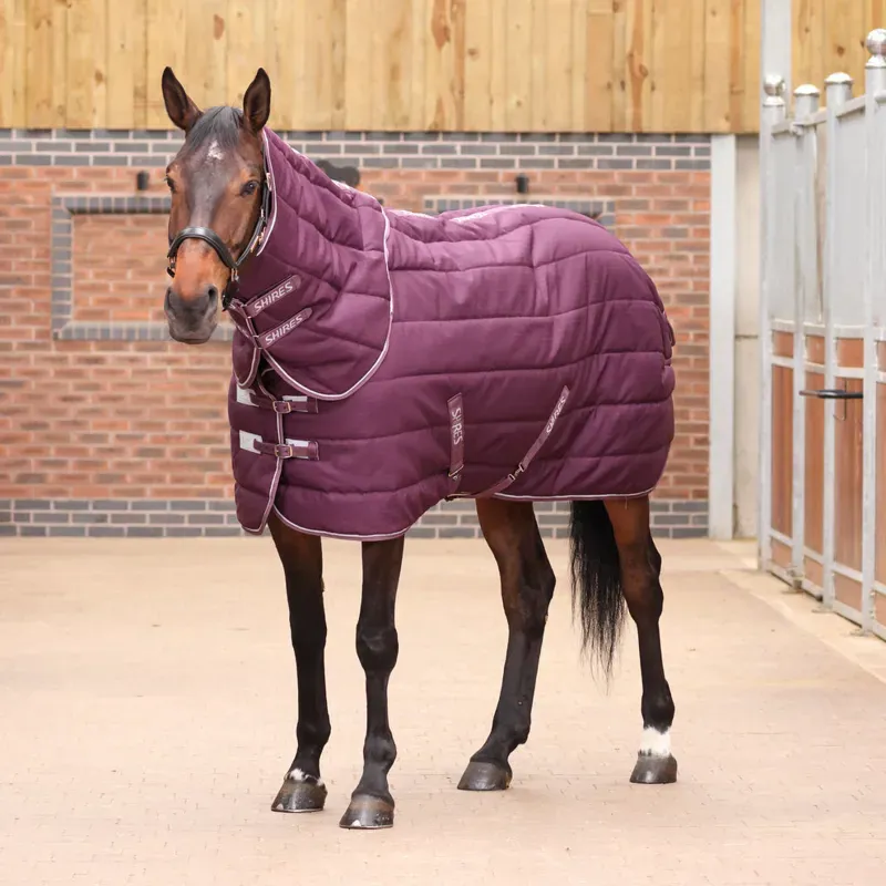 Tempest Original 300 Stable Rug and Neck Set in Burgundy