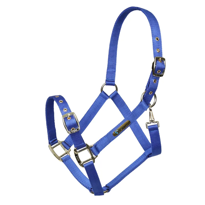 Arma Adjustable Headcollar in Blue