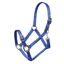 Arma Adjustable Headcollar in Blue