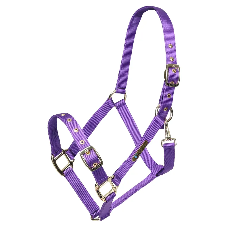 Arma Adjustable Headcollar in Purple