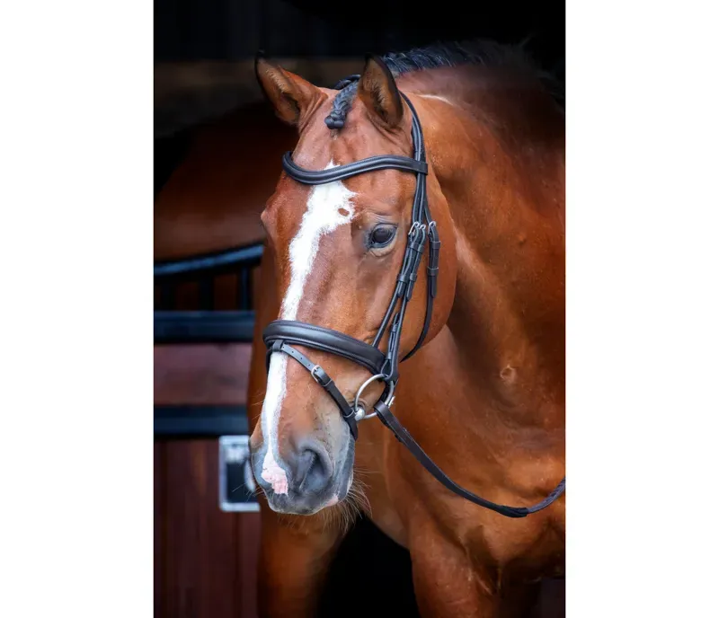 Velociti Dressage Bridle With Flash in Black