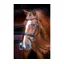 Velociti Dressage Bridle With Flash in Black