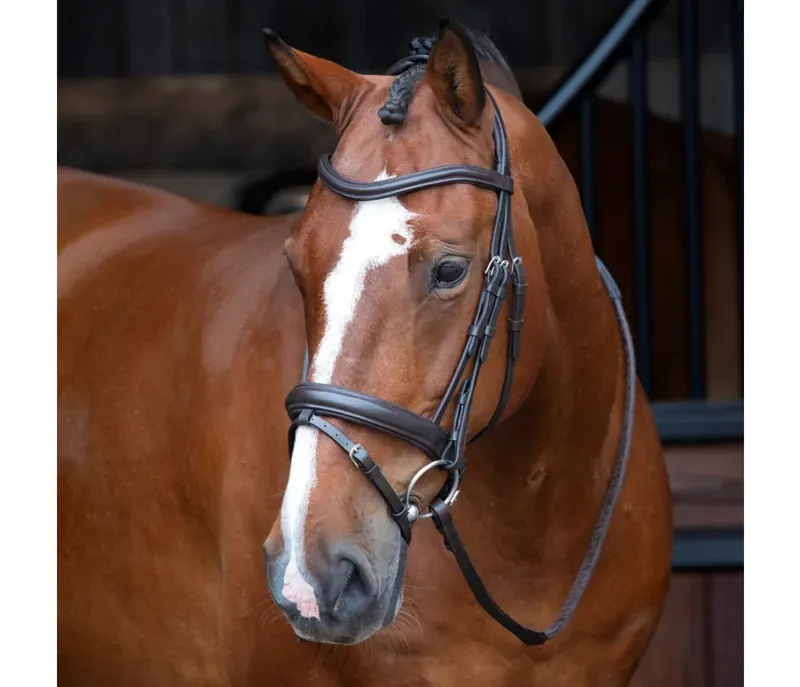 Velociti Dressage Bridle With Flash in Havana