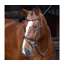 Velociti Dressage Bridle With Flash in Havana
