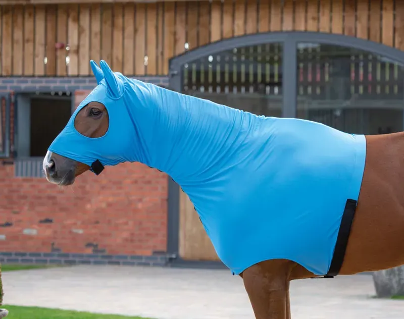 Shires Stretch Hood With Full Face
