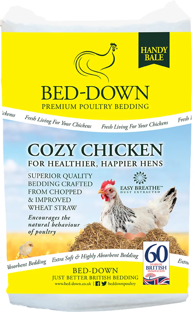Bed-Down Cozy Chicken 