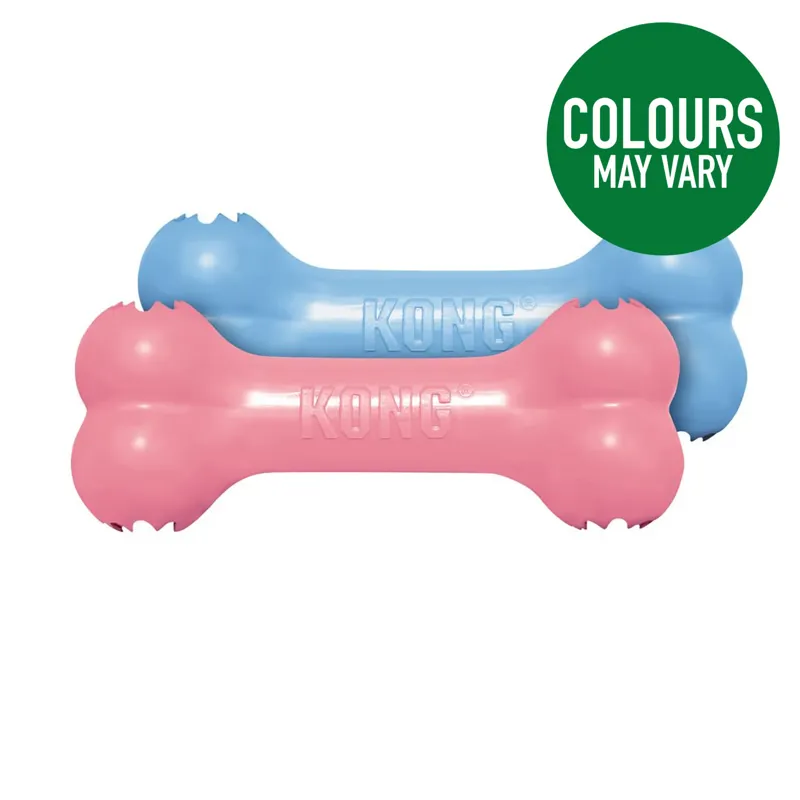 Kong Puppy Goodie Bone Small 