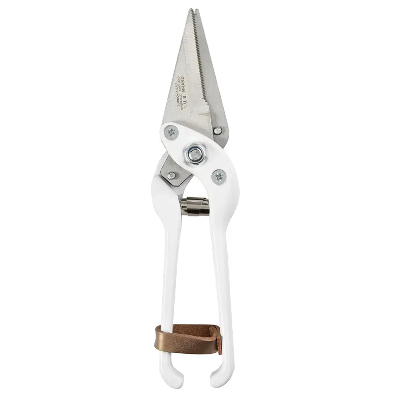 Burgon and Ball Footrot Serrated Shears in White