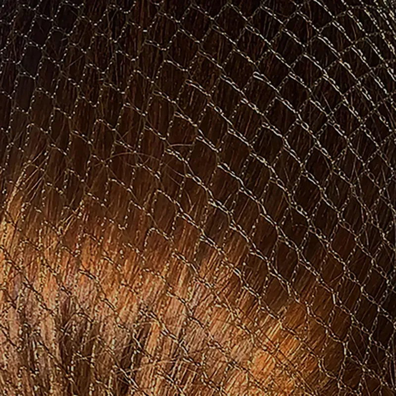Bitz Heavyweight Hairnets in Brown Twin Pack