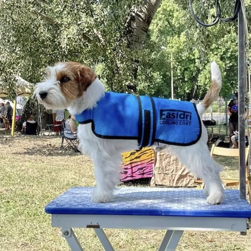 Easidri X Small Cooling Coat