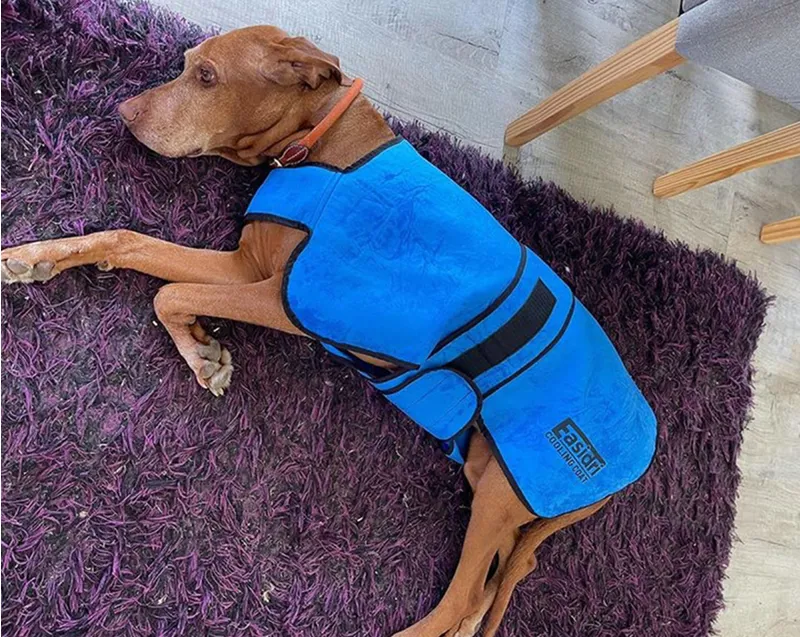 Easidri Large Cooling Coat