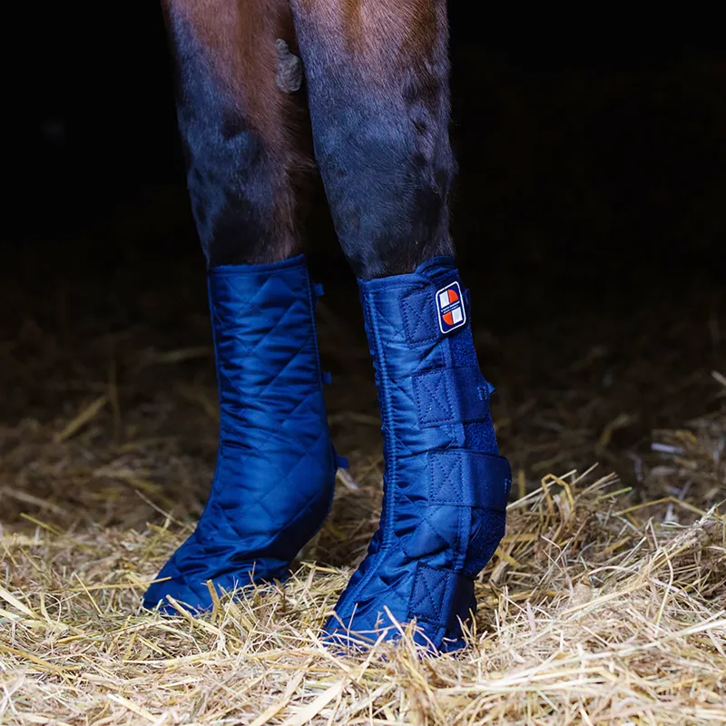 Equilibrium Equi-Chaps Stable Chaps 
