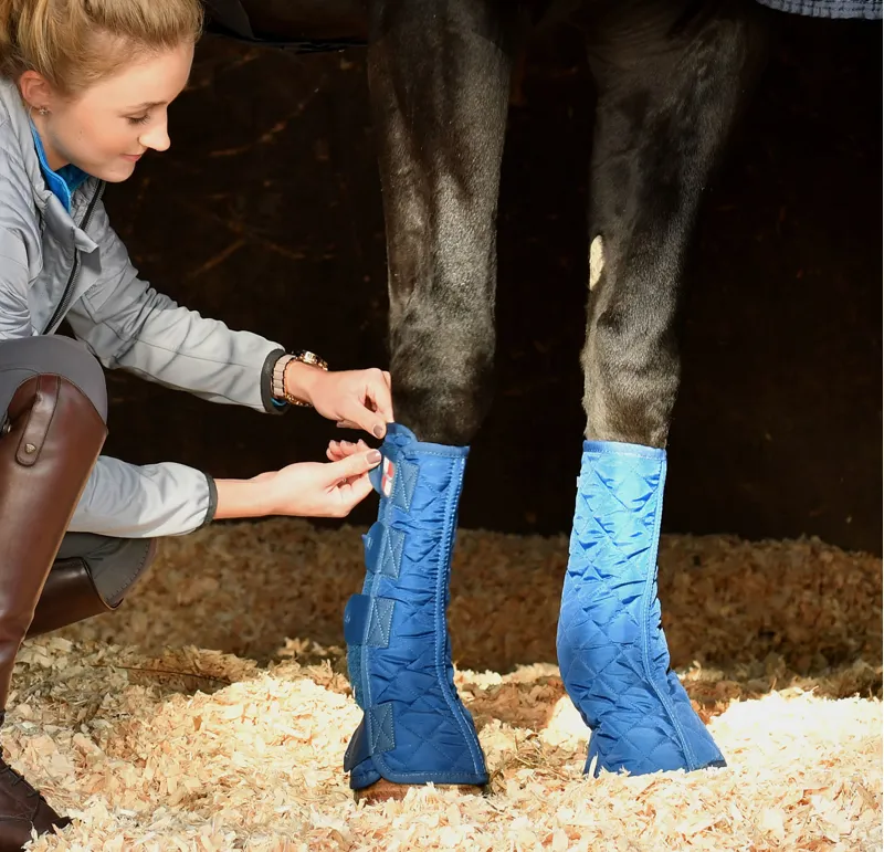 Equilibrium Equi-Chaps Stable Chaps -1