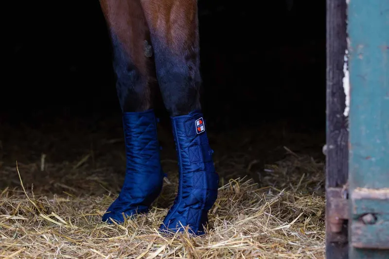 Equilibrium Equi-Chaps Stable Chaps -4