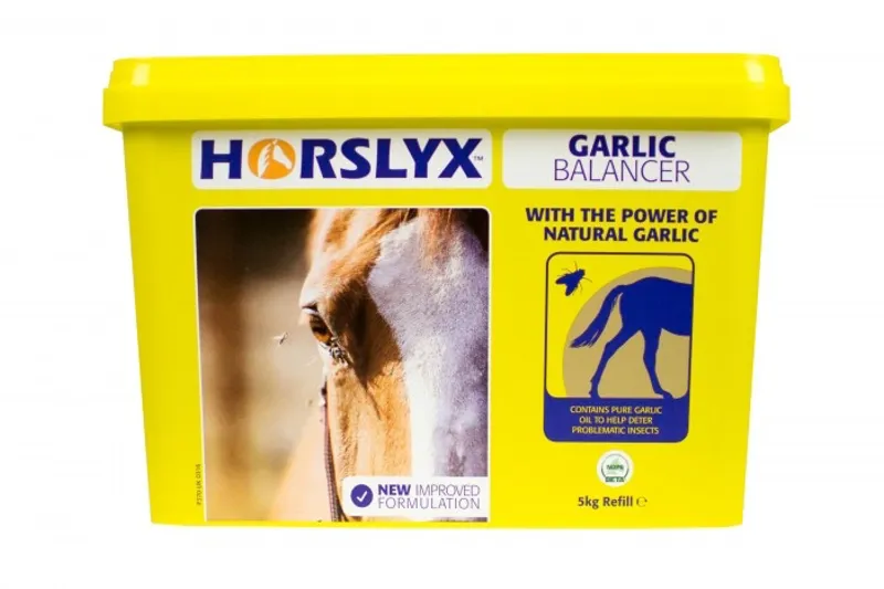Horslyx Garlic Balancer Lick 5kg