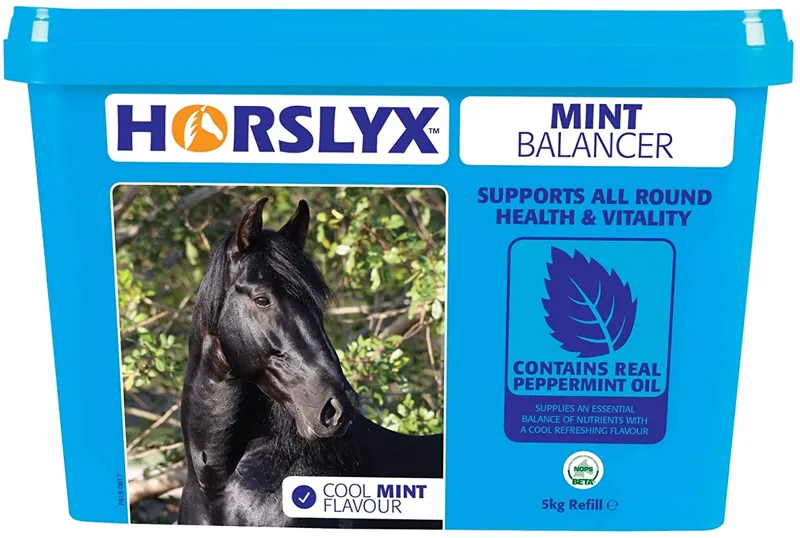 Horslyx 5kg Mint Balancer Lick in Blue