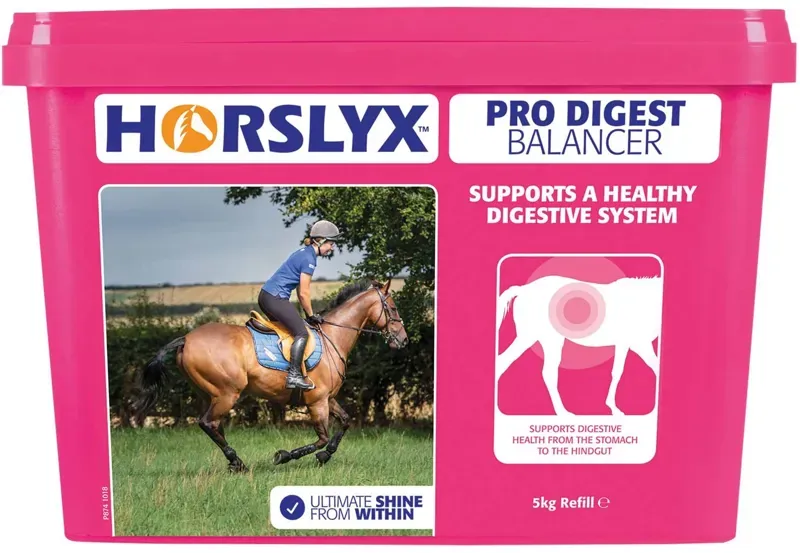 Horslyx Pro Digest Balancer Lick 5kg
