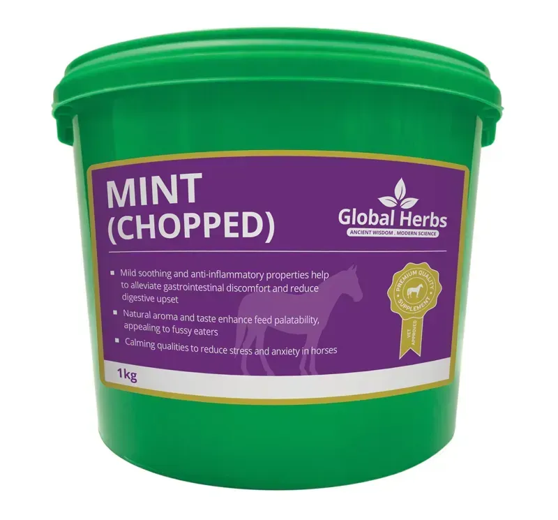 Global Herbs 1kg Mint Chopped in Green