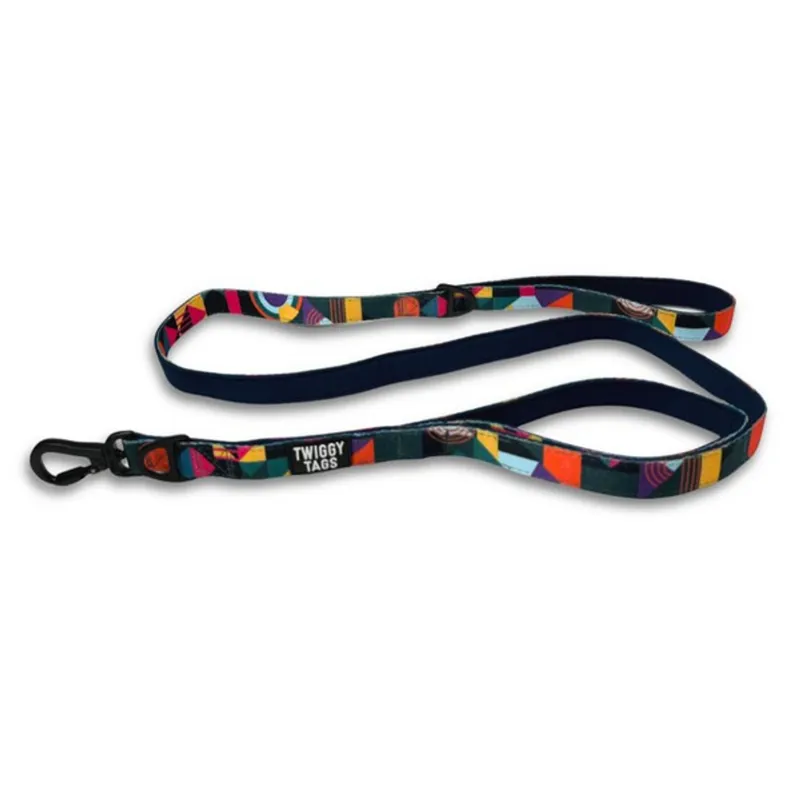 Twiggy Tags Adventure Lead with Close Control Handle 1.5m in Aurora 