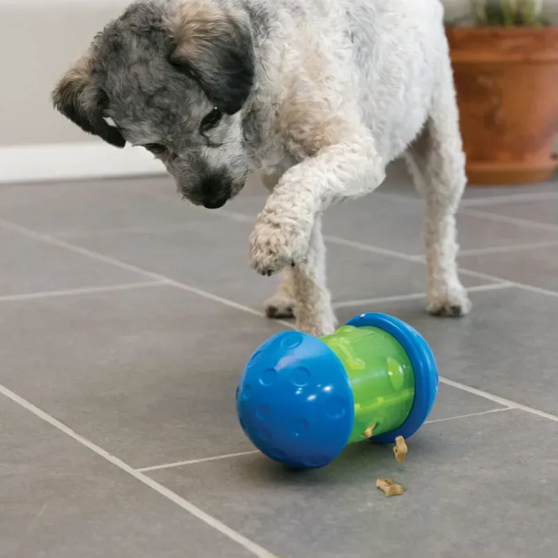 Kong Large Spin-It Toy in Blue/Green-1