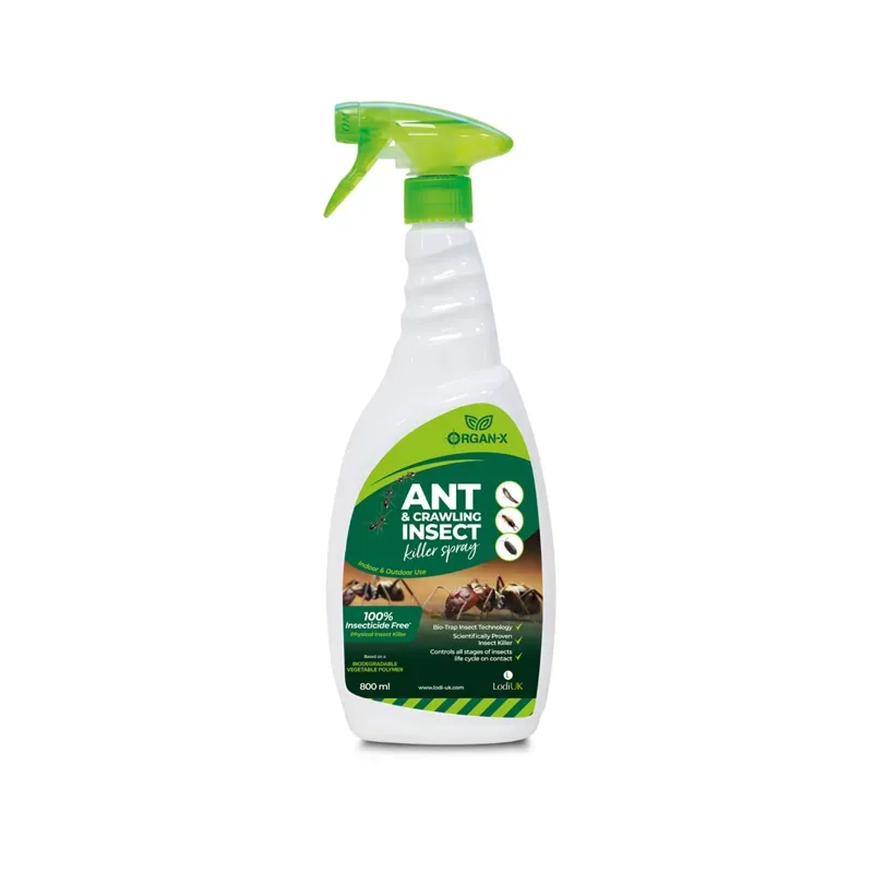 Lodi Organ-X Ant and Crawling Insect Killer Spray 800ml