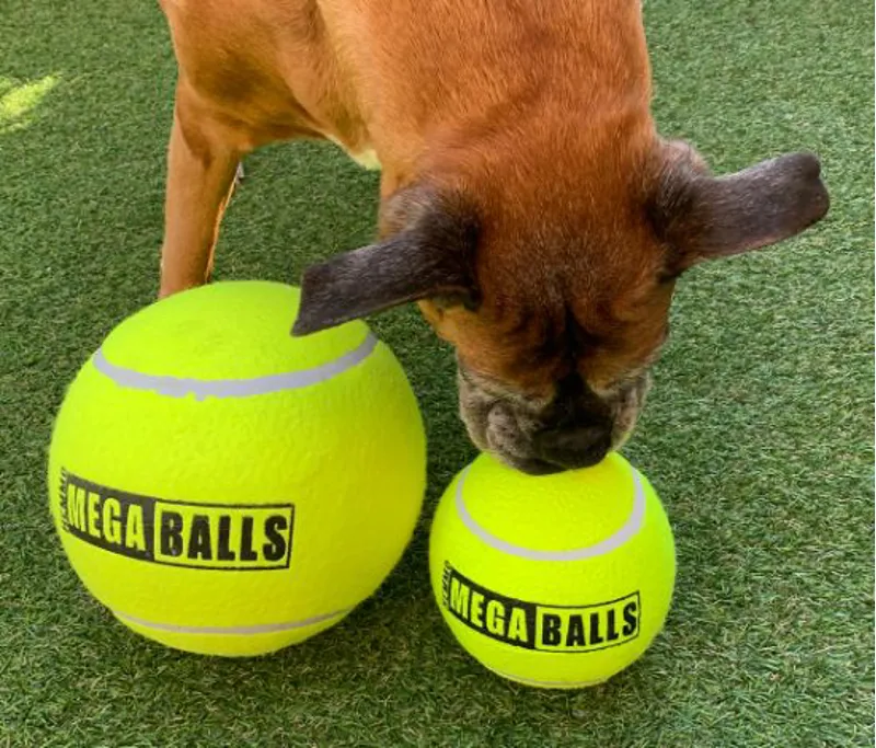 Dog and Co Mega Ball