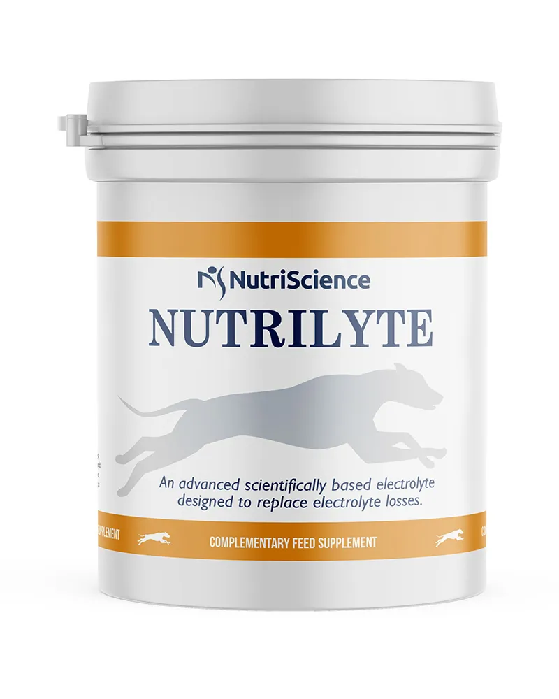NutriScience NutriLyte 400g
