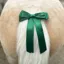 Equetech Horse Competition Warning Tail Ribbon Green