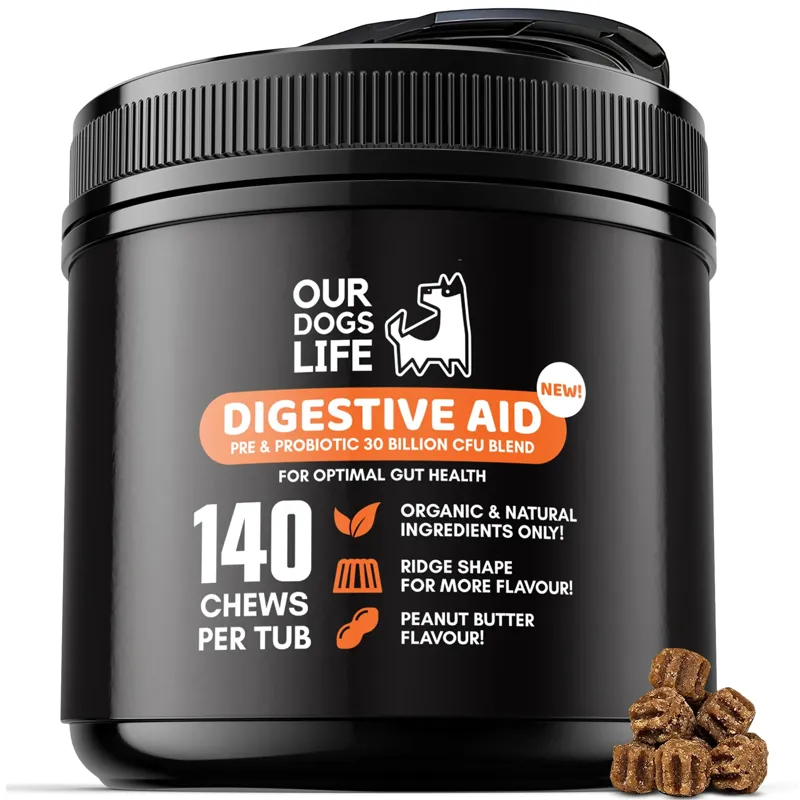 Our Dogs Life Digestive Supplement