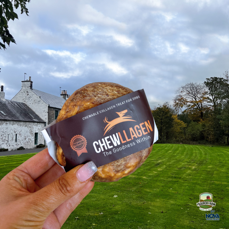 Chewllagen Small Donut Beef 3.5'in-1