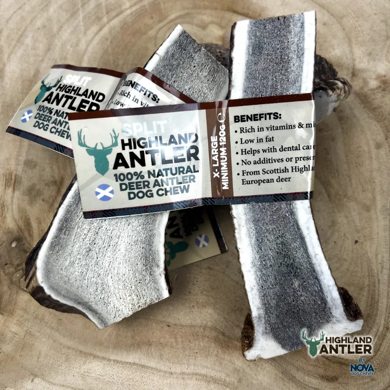 Highland Split Deer Antler X-Large