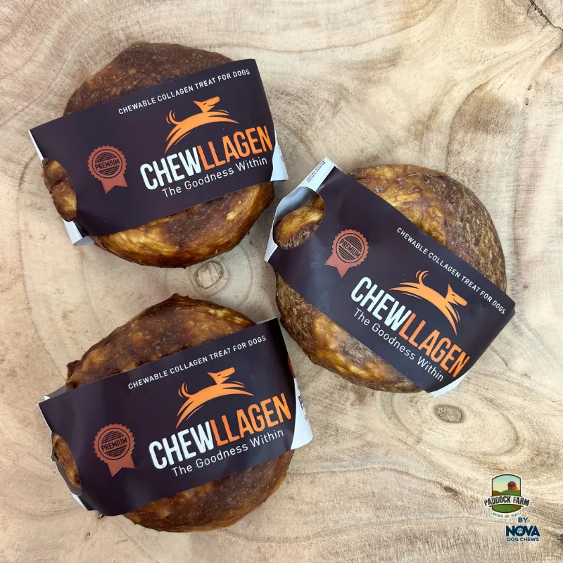 Chewllagen Small Donut Beef 3.5'in