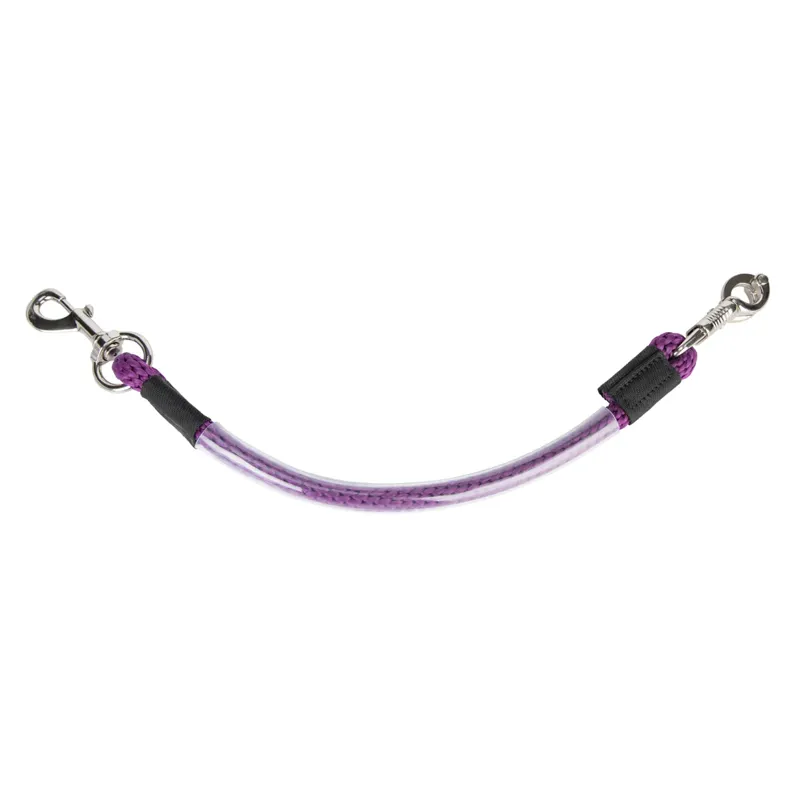ARMA Heavy Duty Trailer Tie PURPLE