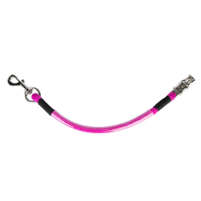 ARMA Heavy Duty Trailer Tie RASPBERRY