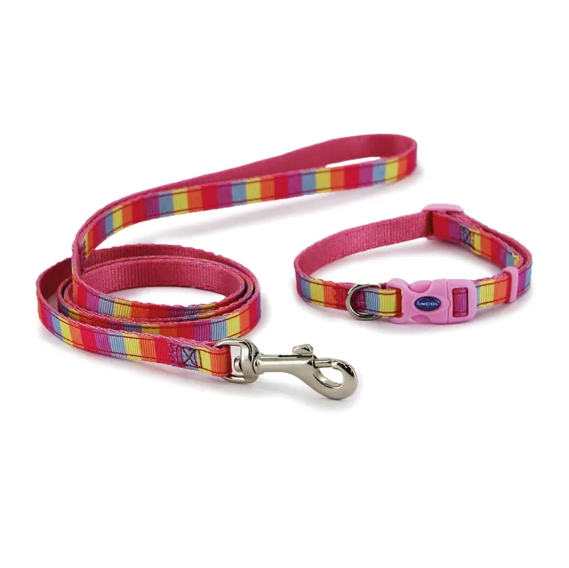 Ancol Small Bite Collar Lead Set Pink Rainbow 