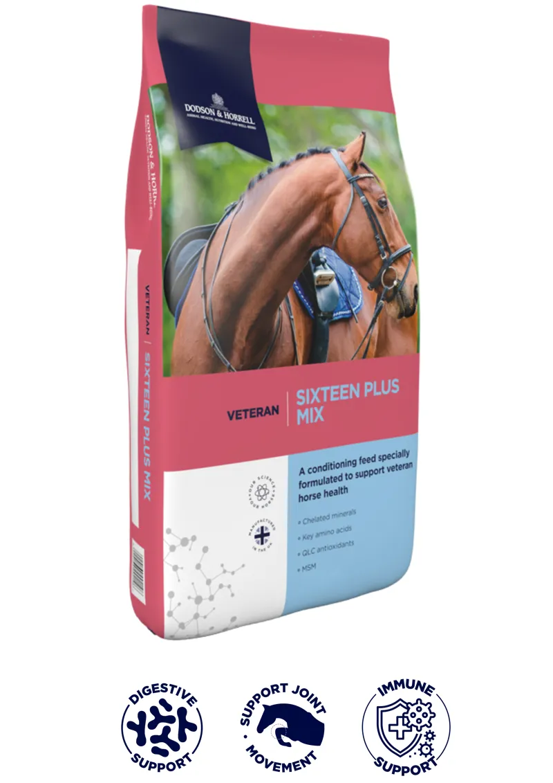 Dodson and Horrell Sixteen Plus Mix