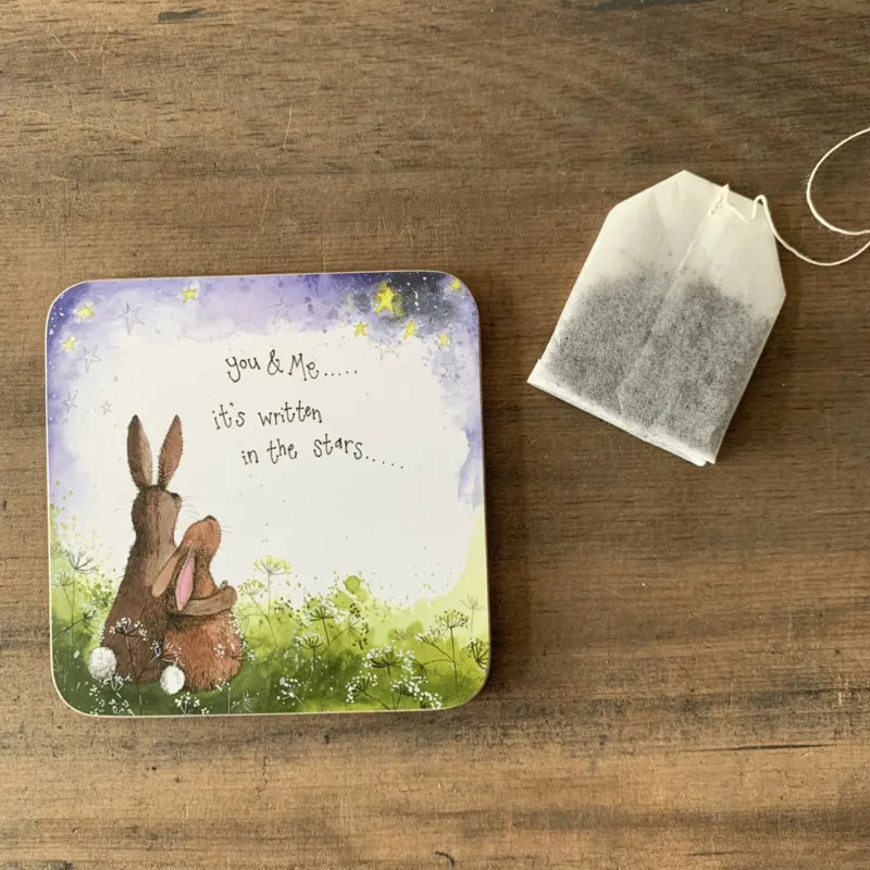 You Me and The Starlight Coaster