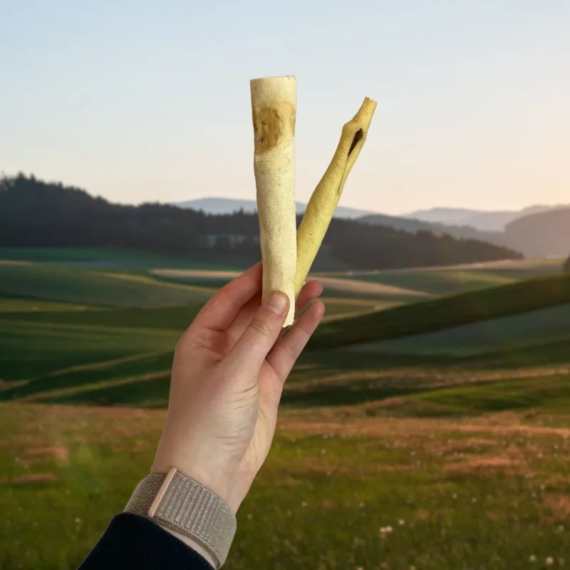 Paddock Farm Beef Tails 15cm-1