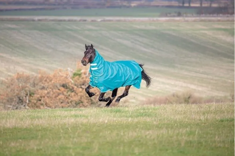 Tempest Plus Turnout Combo Rug 200g in Teal
