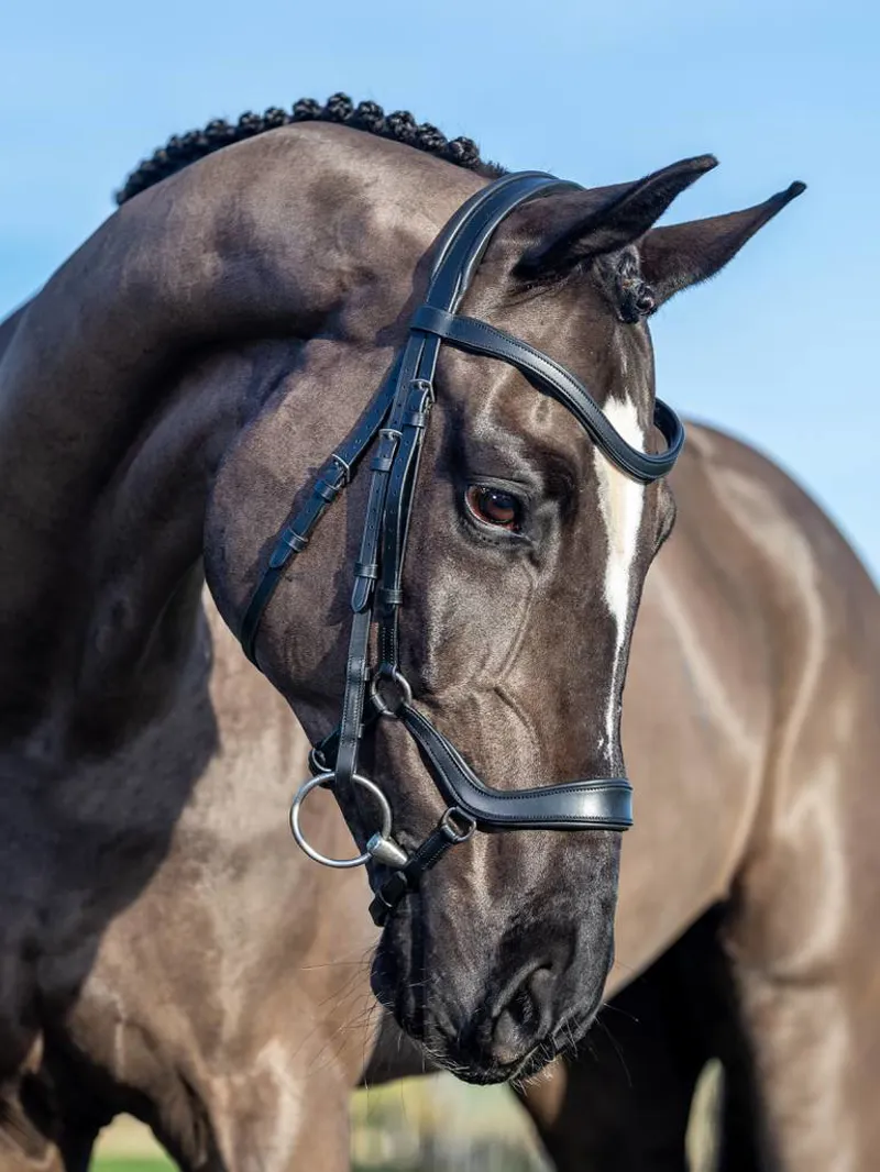 LeMieux Arika Drop Bridle in Black/Silver-4
