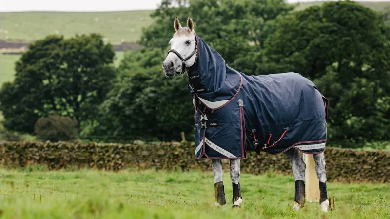 LeMieux Kudos Turnout Rug 50g in Navy-1