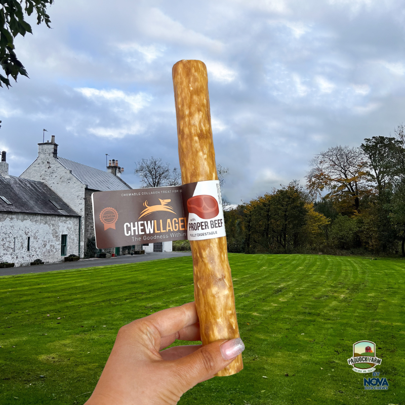 Chewllagen Beef Roll 10in-1