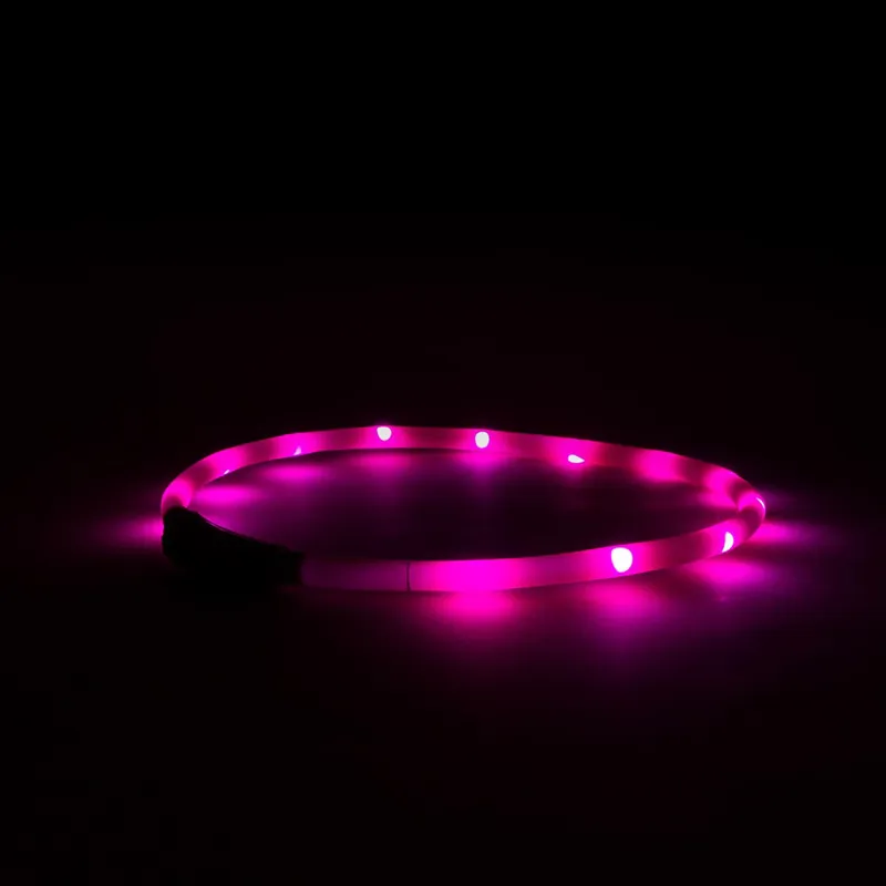 Great and Small Glow LED Rechargeable Collar Pink-1