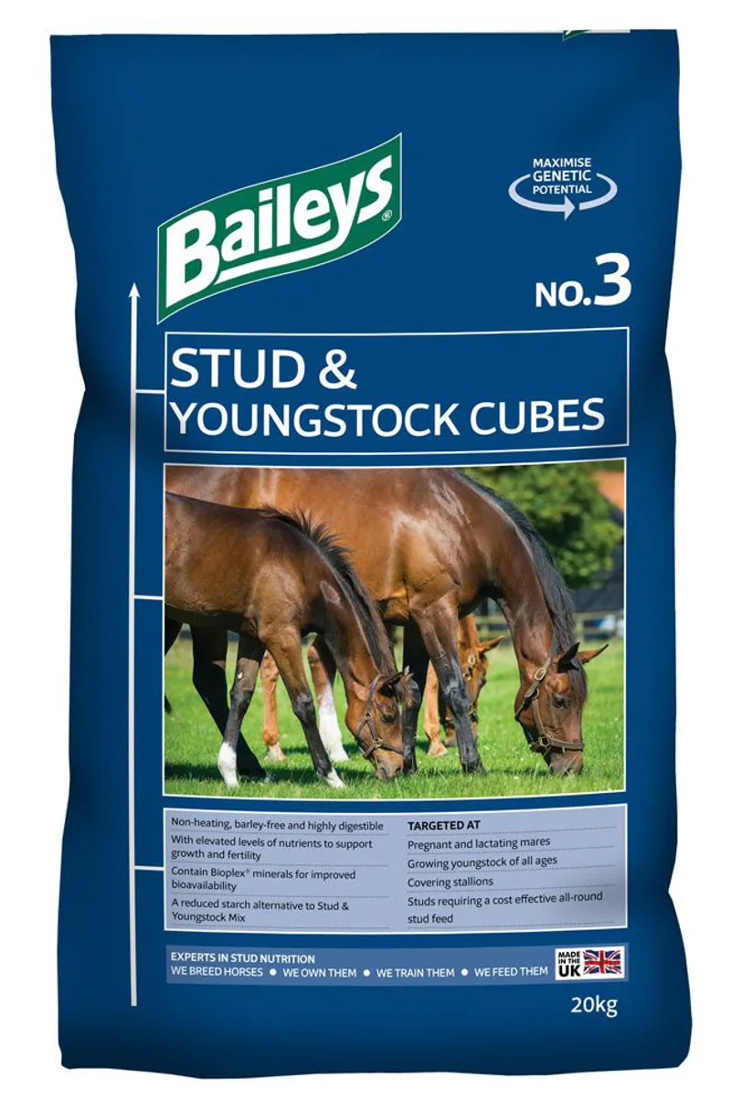 Baileys No.3 Stud + Youngstock Cubes