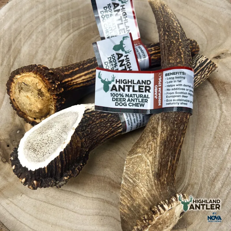 Highland Deer Antler Jumbo