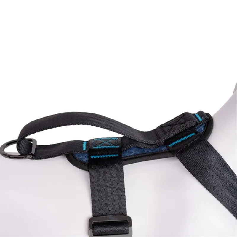 Company of Animals CarSafe Crash Tested Harness Harness-2