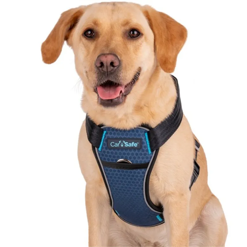 Company of Animals CarSafe Crash Tested Harness Harness-4