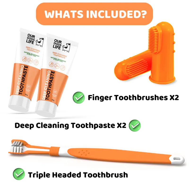 Dogs Life Dog Toothbrushes and Toothpaste-1