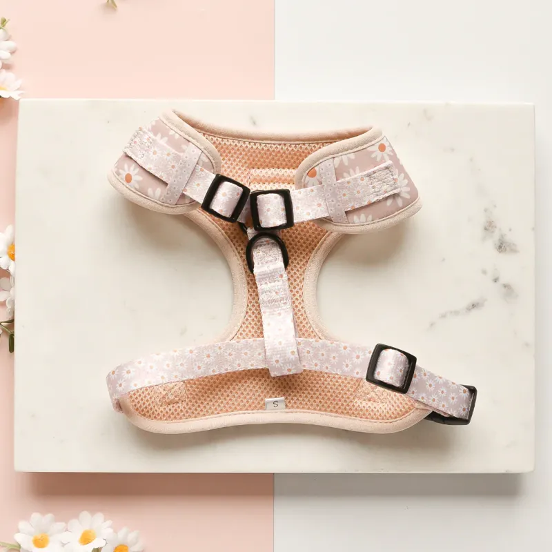 Cocopup Adjustable Neck Harness Daisy Chain-1